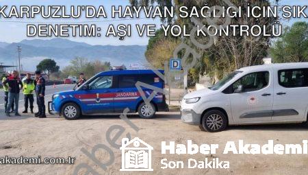 Karpuzlu’da Hayvan Sağlığı İçin Sıkı Denetim: Aşı ve Yol Kontrolü