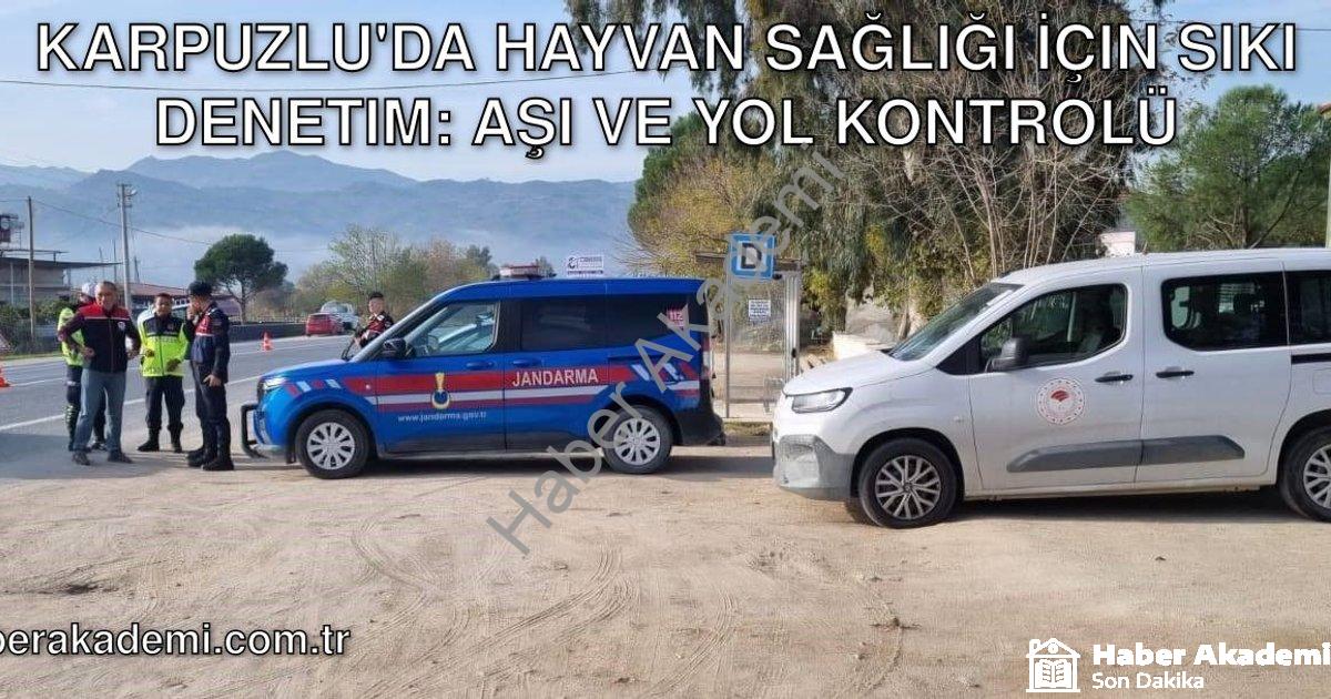 "Karpuzlu'da Hayvan Sağlığı İçin Sıkı Denetim: Aşı ve Yol Kontrolü" başlıklı haber için fotorealisti