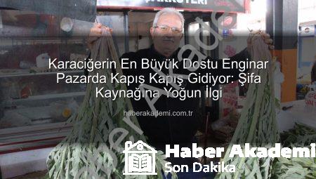 Karaciğerin En Büyük Dostu Enginar Pazarda Kapış Kapış Gidiyor: Şifa Kaynağına Yoğun İlgi