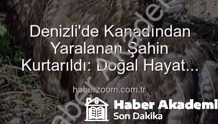 Denizli’de Kanadından Yaralanan Şahin’e Umut Oldu: Tedavi Süreci Başladı