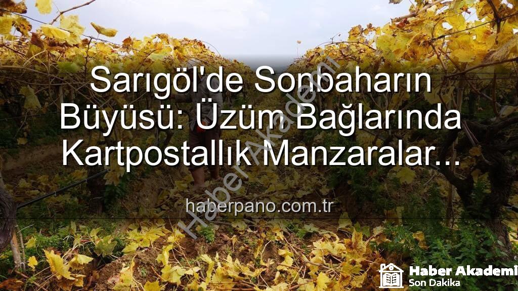 Sarıgöl budama - Sarıgöl'de Sonbaharın Büyüsü: Üzüm Bağlarında Kartpostallık Manzaralar Eşliğinde Budama Çalışmaları