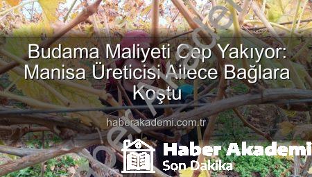 Budama Maliyeti Cep Yakıyor: Manisa Üreticisi Ailece Bağlara Koştu