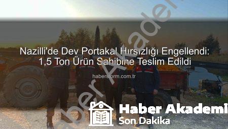 Nazilli’de Büyük Operasyon: 1,5 Ton Portakal Hırsızlığı Jandarmaya Takıldı, Şüpheliler Yakalandı