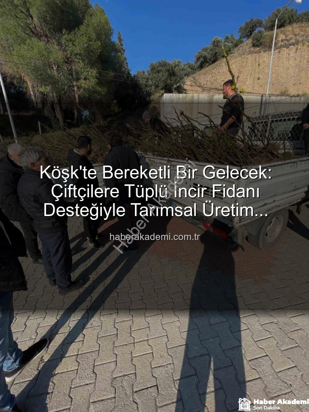 tüplü incir fidanı - Köşk'te Bereketli Bir Gelecek: Çiftçilere Tüplü İncir Fidanı Desteğiyle Tarımsal Üretim Güçleniyor