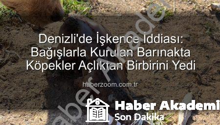 Denizli’de Tüyler Ürperten İstismar: Sözde Barınakta Köpekler Açlıktan Birbirini Yedi, Bağışlar Çöpe Atıldı