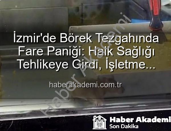 börek tezgahında fare - İzmir'de Börek Tezgahında Fare Paniği: Halk Sağlığı Tehlikeye Girdi, İşletme Mühürlendi