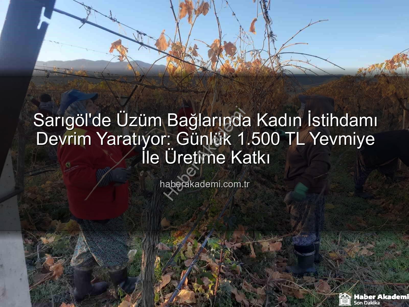 kadın istihdamı - Sarıgöl'de Üzüm Bağlarında Kadın İstihdamı Devrim Yaratıyor: Günlük 1.500 TL Yevmiye İle Üretime Katkı