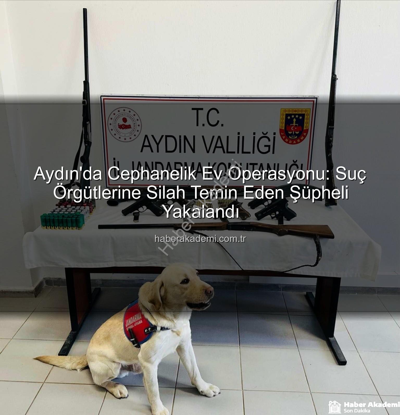 Aydın silah operasyonu - Aydın'da Cephanelik Ev Operasyonu: Suç Örgütlerine Silah Temin Eden Şüpheli Yakalandı