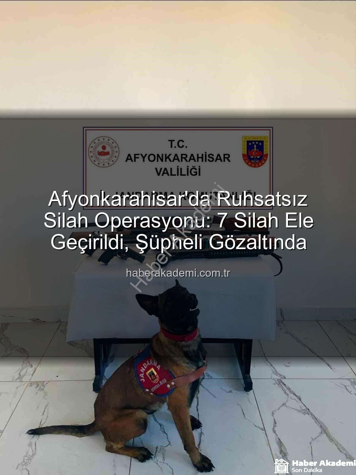 ruhsatsız silah operasyonu - Afyonkarahisar'da Ruhsatsız Silah Operasyonu: 7 Silah Ele Geçirildi, Şüpheli Gözaltında