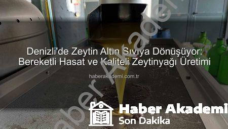 Denizli’de Zeytin Altın Sıvıya Dönüşüyor: Bereketli Hasat ve Kaliteli Zeytinyağı Üretimi