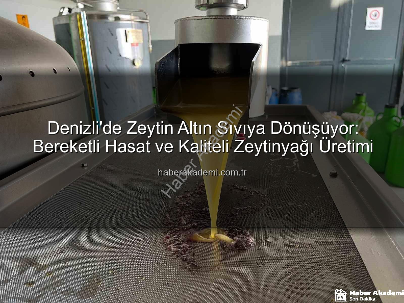 Denizli zeytinyağı - Denizli'de Zeytin Altın Sıvıya Dönüşüyor: Bereketli Hasat ve Kaliteli Zeytinyağı Üretimi