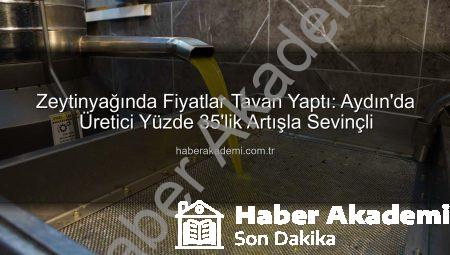 Zeytinyağında Fiyatlar Tavan Yaptı: Aydın’da Üretici Yüzde 35’lik Artışla Sevinçli