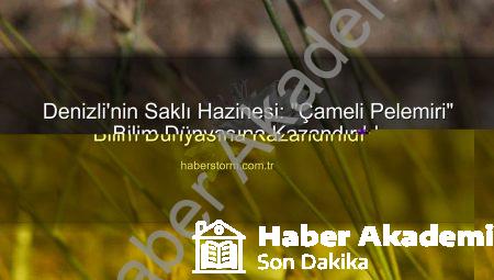 Denizli’nin Saklı Hazinesi: “Çameli Pelemiri” Bilim Dünyasına Kazandırıldı