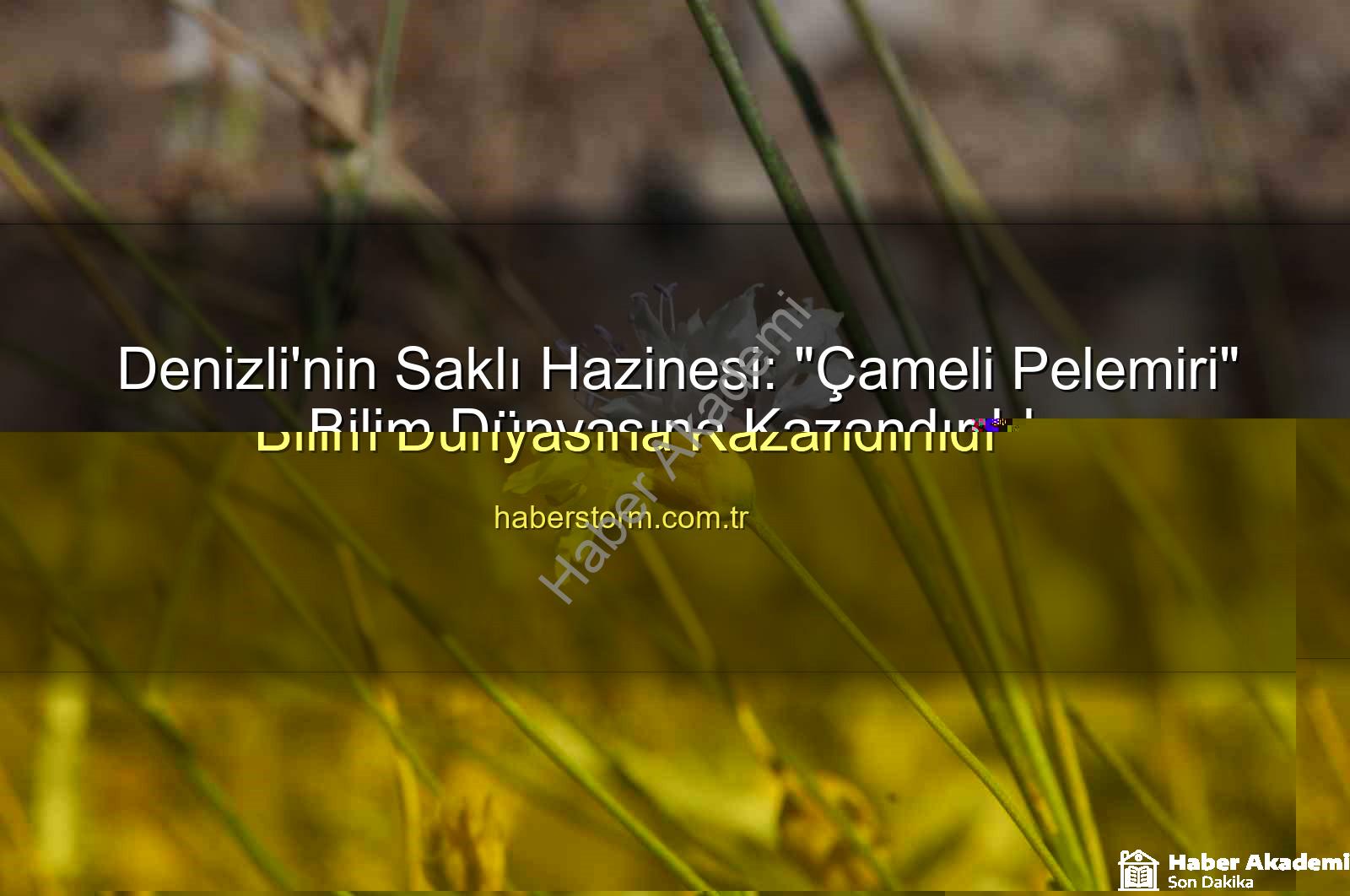 Çameli pelemiri - Denizli'nin Saklı Hazinesi: "Çameli Pelemiri" Bilim Dünyasına Kazandırıldı