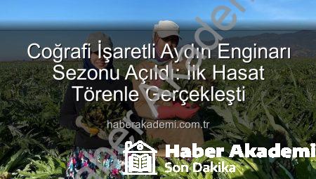 Coğrafi İşaretli Aydın Enginarı Sezonu Açıldı: İlk Hasat Törenle Gerçekleşti
