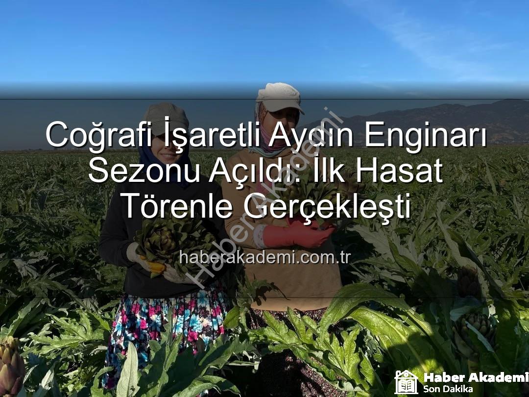 Aydın Enginarı - Coğrafi İşaretli Aydın Enginarı Sezonu Açıldı: İlk Hasat Törenle Gerçekleşti