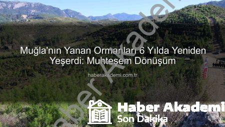 Muğla’nın Yanan Ormanları 6 Yılda Yeniden Yeşerdi: Muhteşem Dönüşüm