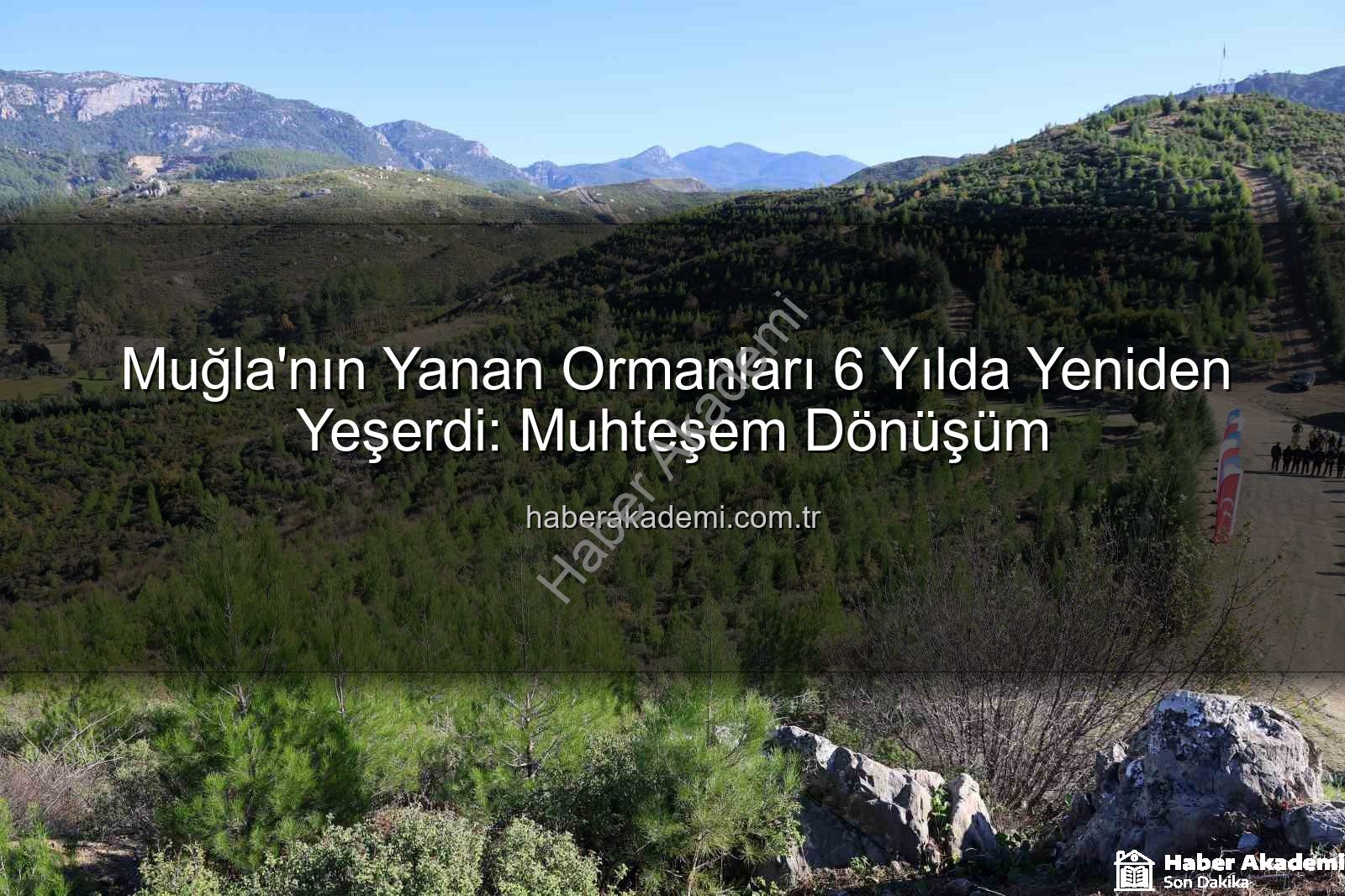 orman yangınları sonrası - Muğla'nın Yanan Ormanları 6 Yılda Yeniden Yeşerdi: Muhteşem Dönüşüm