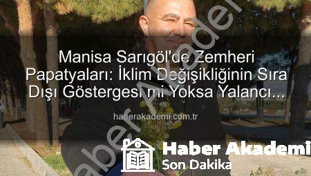 Manisa Sarıgöl’de Zemheri Papatyaları: İklim Değişikliğinin Sıra Dışı Göstergesi mi Yoksa Yalancı Bahar mı?