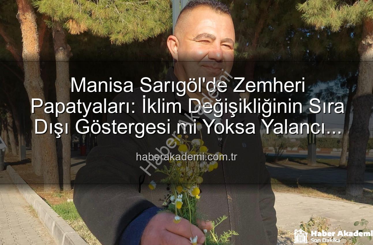 Manisa Sarıgöl'de Zemheri Papatyaları: İklim Değişikliğinin Sıra Dışı Göstergesi mi Yoksa Yalancı Bahar mı?